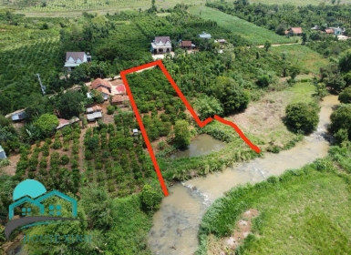 Bán  miếng  đất  tại  đắc nông 