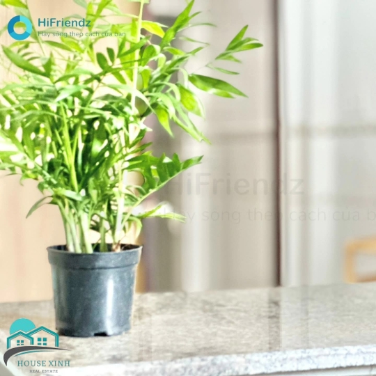 Cho thuê căn hộ Q9