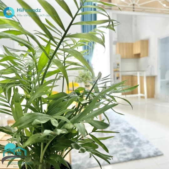 Cho thuê căn hộ Q9